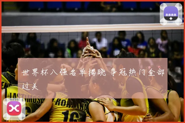 世界杯八强名单揭晓 争冠热门全部过关