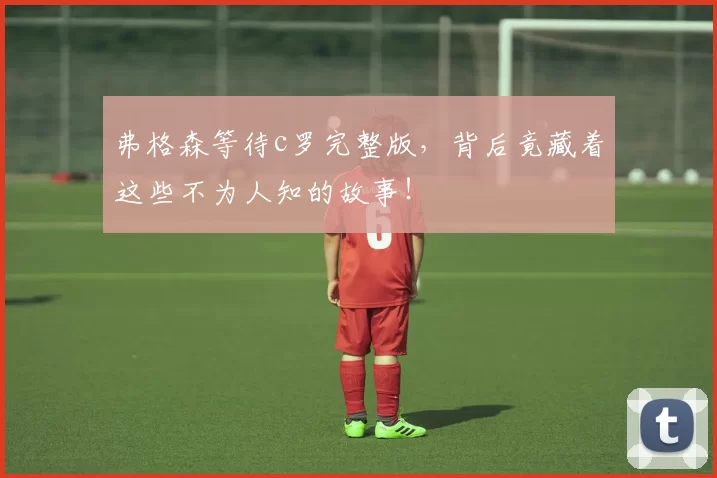 弗格森等待c罗完整版,背后竟藏着这些不为人知的故事!