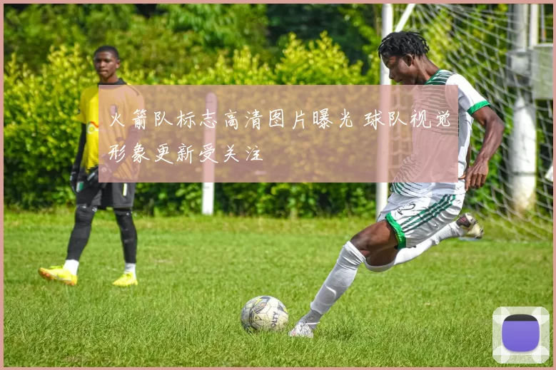 火箭队标志高清图片曝光 球队视觉形象更新受关注