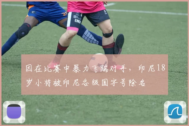 因在比赛中暴力飞踹对手，印尼18岁小将被印尼各级国字号除名